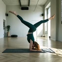 Yoga e Tai Chi Chuan Lotus Pocus Milano