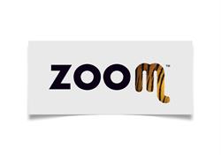 Zoom Torino