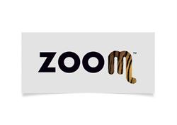 ZOOM TORINO