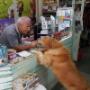 Cibo per Cani e Gatti Vittoria