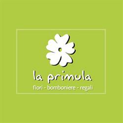 Fiori e Piante La Primula