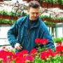 Fiori Freschi