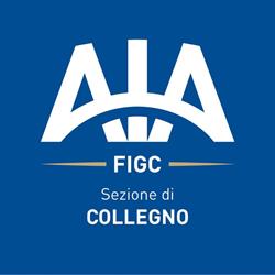 A.I.A. Collegno - Sezione G. Bergadano