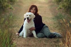 Marybel Golden Retriever & Havanais