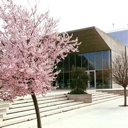 Teatro Comunale Lea Padovani