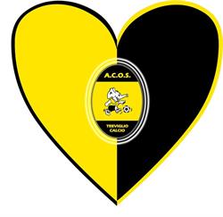 Acos Treviglio Calcio