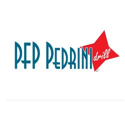Pfp Pedrini S.r.l.