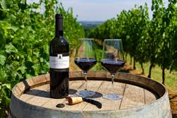 Poderi di San Pietro
