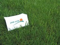 Prato Verde srl