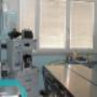 Clinica Veterinaria  Marzola