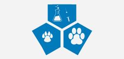Ambulatorio Veterinario Iaccarino
