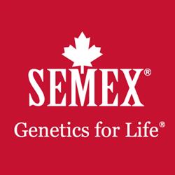 Semex Italia