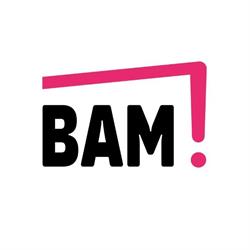 BAM! Strategie Culturali
