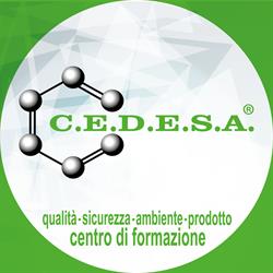 C.E.D.E.S.A. Srl