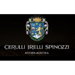 Tenuta Cerulli Spinozzi