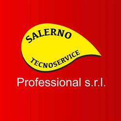 SALERNO TECNOSERVICE PROFESSIONAL srl