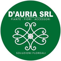 D'Auria Ingrosso Piante & Fiori