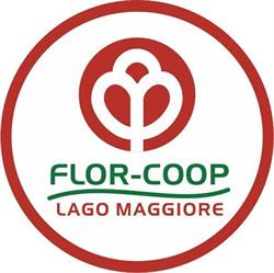 FLOR COOP LAGO MAGGIORE