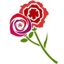 Mercato del Fiore