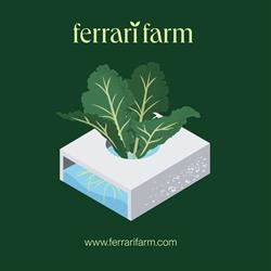 Ferrari Farm Società Agricola Srl