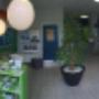 Ars Veterinaria