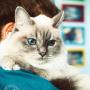 Ars Veterinaria