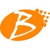 Braintech srl