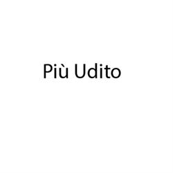 Più Udito Group