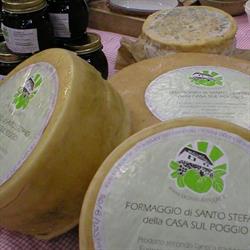 Agriturismo La Casa sul Poggio