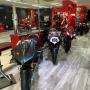 Gallery Cliente