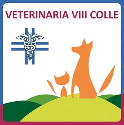 Veterinaria VIII Colle