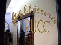 Pellicceria Artigianale Pucci