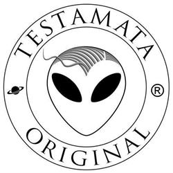 Acconciature Testamata di Alessio Milia
