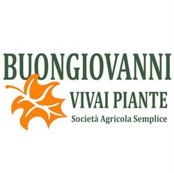 Vivai Piante Buongiovanni
