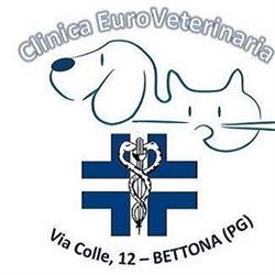 Clinica Euro Veterinaria