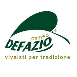 Vivai Piante Defazio