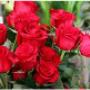 Rose Ada Fiori