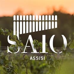Cantina SAIO Assisi Degustazione vino, olio e prodotti tipici
