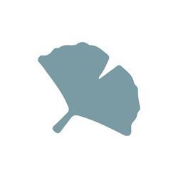 Ginkgo giardini