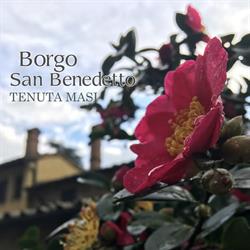 Borgo San Benedetto