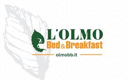 L'Olmo b&b, Torino, Italy