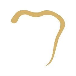 SocialDent Verona