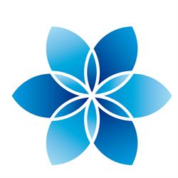DTS Consulting