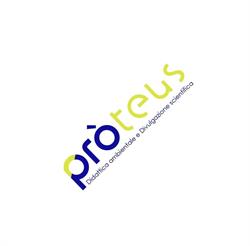 Proteus