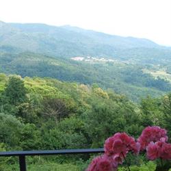 Villa dei Roseti B&B - Casa vacanze