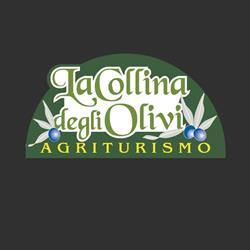 La Collina Degli Olivi