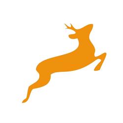 Capriolo Italia Bikes