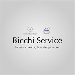 Bicchi Service Srl