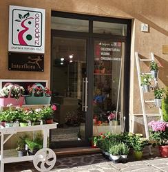 Zuppardo Piante e Fiori