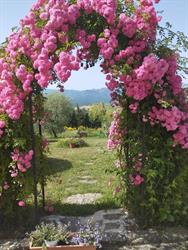 B&B Il Rifugio della luna
